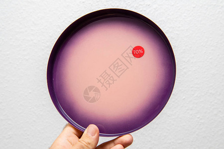 女手握美丽的紫色盘子贴图片