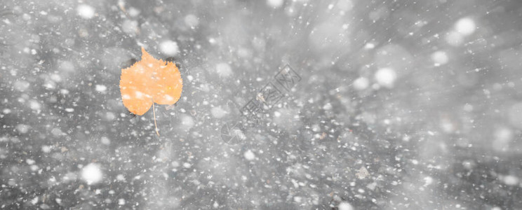 初雪时代的背景秋天公园背景图片