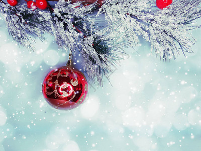 圣诞红球带fir树枝锥和背面雪图片