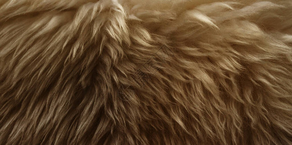 棕色蓬松羊毛质地橙色天然羊毛背景毛皮质地特写图片
