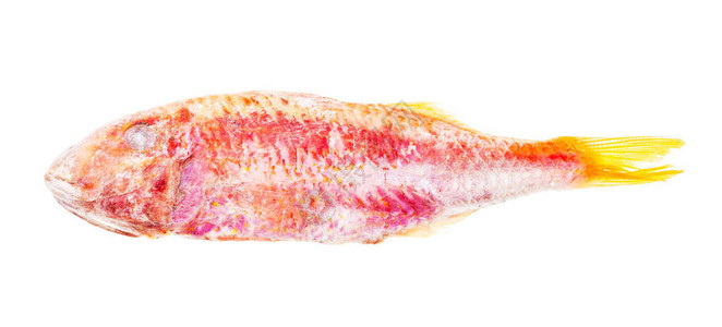白色背景中分离的速冻红鲻鱼图片