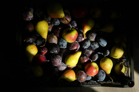 秋收的果实和阳光图片