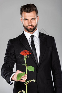 穿着黑色西装的优雅英俊商人展示红玫瑰图片
