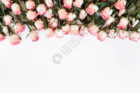 花朵的成分有很多粉红玫瑰花在白色背景上图片