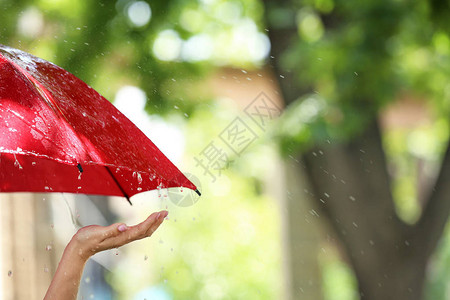 雨天在户外打着红伞的女人图片