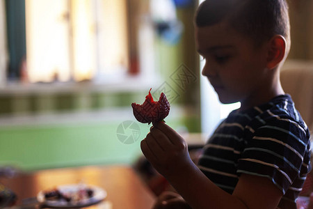 一个小男孩吃草莓夏季食品一个小孩在炎热的夏日图片