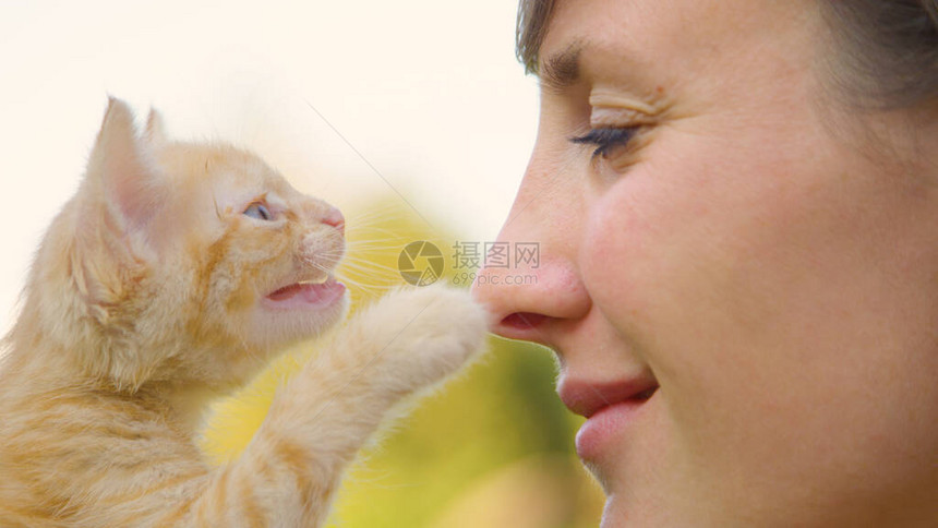 可爱的橙色虎斑小猫轻地抚摸着年轻女子的鼻子图片