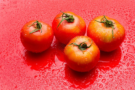 西红柿是一种富含特和维生素以及抗氧化剂的水果图片