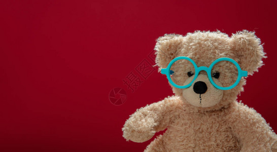 可爱的泰迪戴蓝色眼镜图片