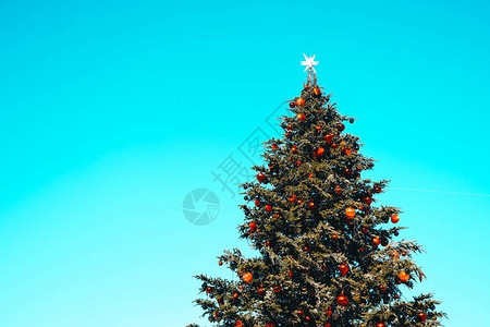 旧色调圣诞树图片