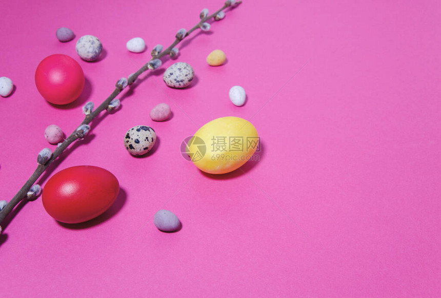 复活节背景彩蛋鹌鹑蛋和小糖果蛋躺在粉红色的背景上鸡蛋之间有一根柳图片