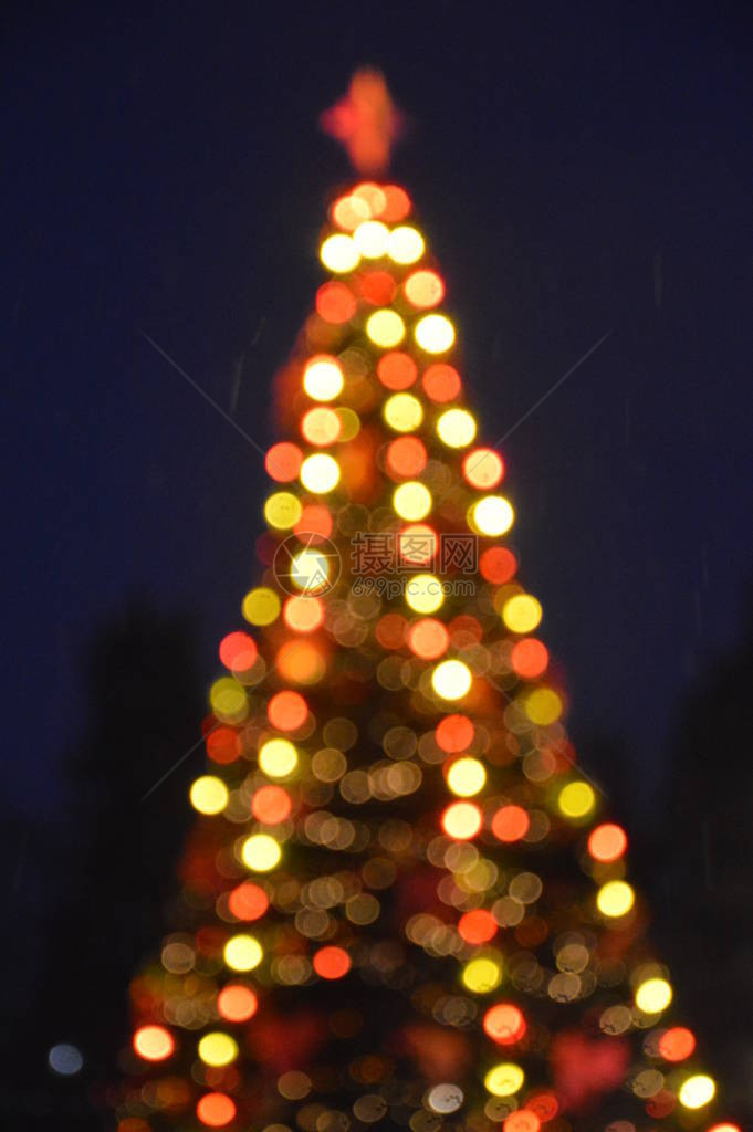 夜晚和夜间圣诞树照亮冬天城市的图片