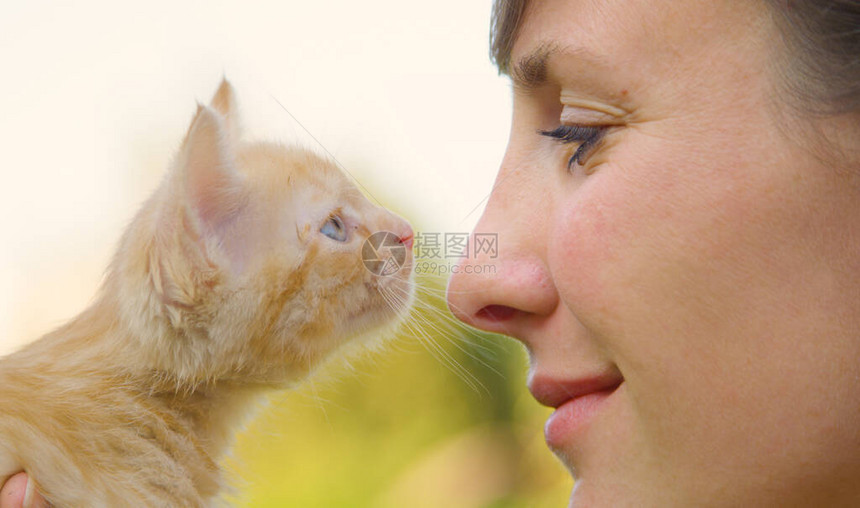 快乐的女孩把一只好奇的橙色小猫靠近她的脸一个快乐的年轻白种女人抚摸一只美丽的红色虎斑猫的可爱镜头好奇的小猫图片