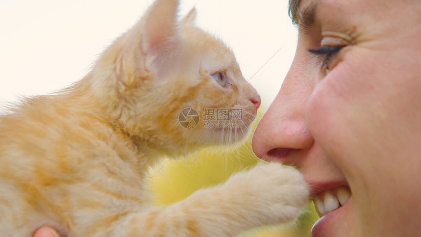 快乐的白人女孩将一只可爱的虎斑小猫举到她的脸上图片