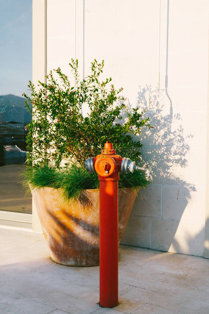 街道上的红色高消防栓高品质照片图片