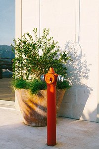 消火栓素材高街道上的红色高消防栓高品质照片背景