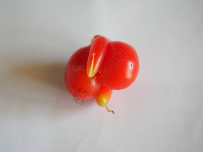 红辣椒Capsicum又名甜椒蔬菜素图片