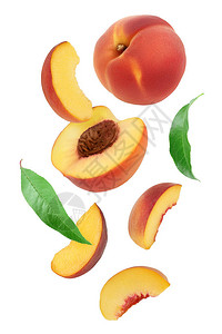 落在白色背景上的成熟桃片图片