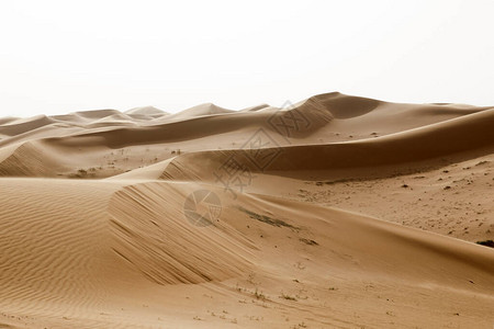 沙丘在沙特阿拉伯的美丽景色与图片
