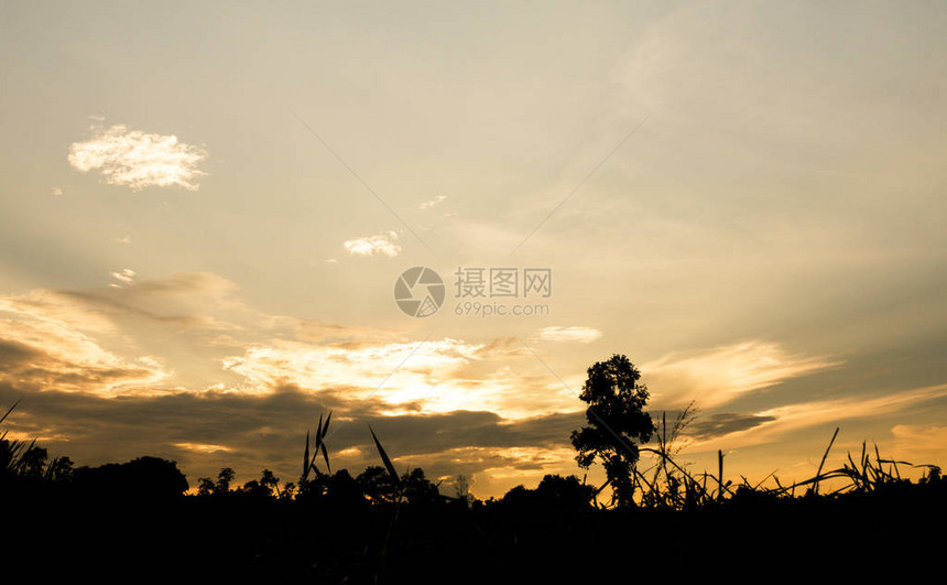 黄昏的天空和金色的光图片