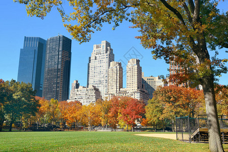 曼哈顿市中心天线从纽约市秋天的背景图片