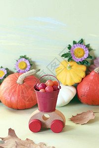 玩具汽车南瓜秋叶蔬菜水果鲜花和叶子的装饰成分图片