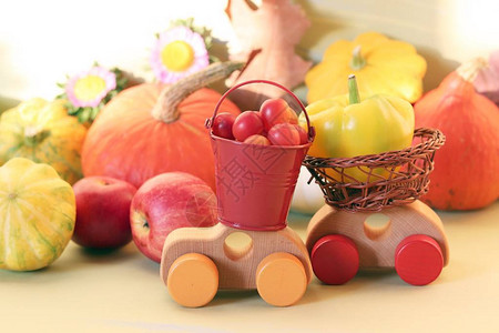 玩具汽车南瓜秋叶蔬菜水果鲜花和叶子的装饰成分背景图片