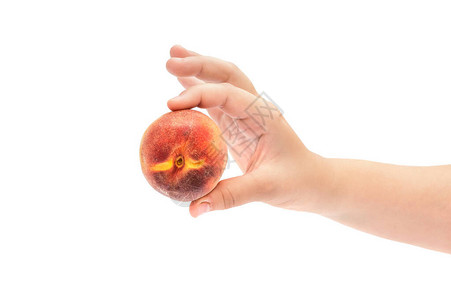 孩子手握着成熟的桃子图片