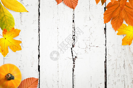 木板上秋叶的秋天背景顶视图图片