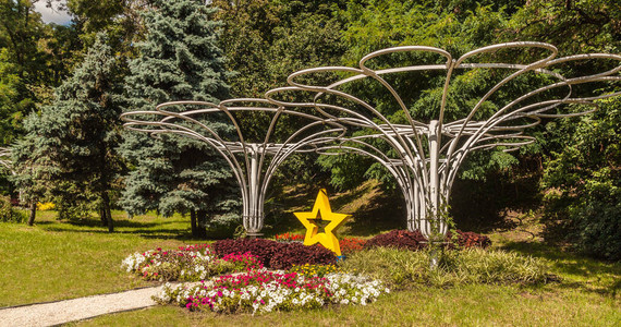 夏天在基辅的园林公园Spivoche图片