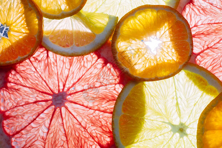 柑橘橙子葡萄柚和柠檬片非常特写宏观图片