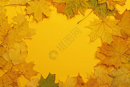 秋叶照片文字地点折扣减百分比秋季藏品背景图片