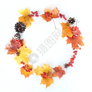 秋叶的花角白底平地文字空间上背景图片
