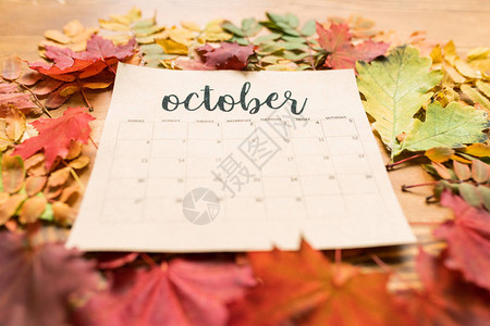 由十月日历纸片和各种颜色的叶子组成图片