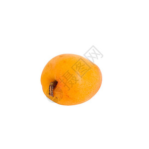 一整片成熟的橘子杏仁白底孤图片