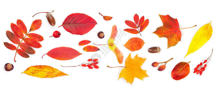 秋背景多彩的图片
