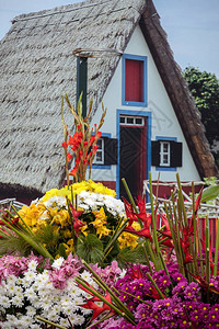 由热带花朵和来自桑塔纳的一所传统房屋构成的花卉结构图片