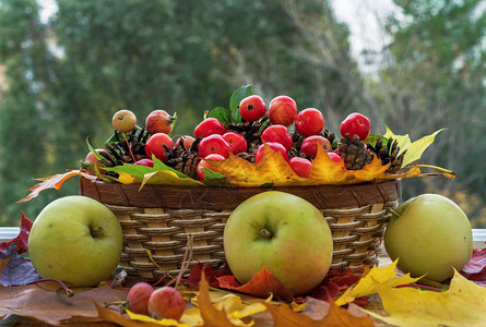 秋天堂苹果在篮子里图片