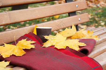 木凳和咖啡围巾黄色干叶在市公背景图片