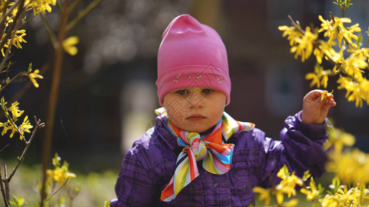 在公园黄色树叶的彩色围巾中穿红色帽子和紫衣夹图片