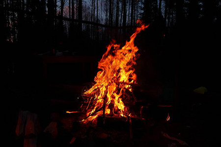 大火夜间火自然火大量火图片
