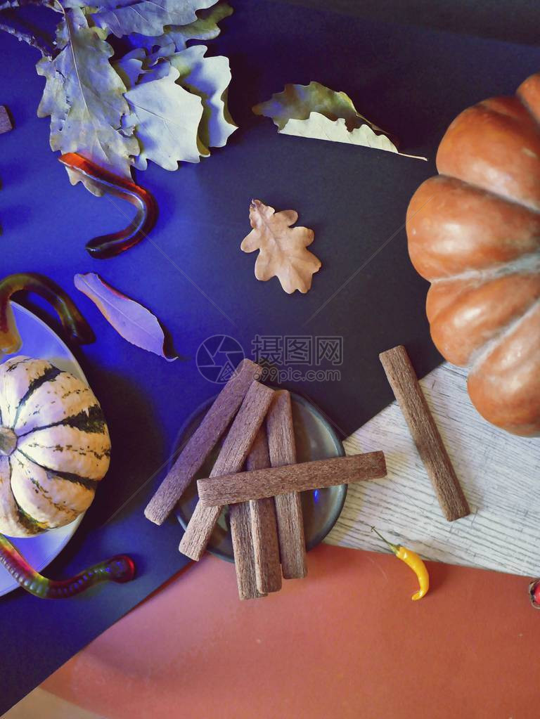 南瓜叶巧克力饼干果冻虫的装饰成分图片