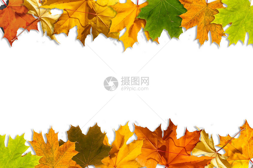 秋季背景秋季假图片
