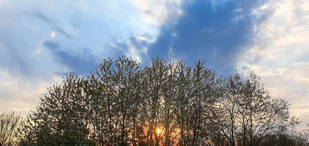 与云彩和春天树的红色日落图片