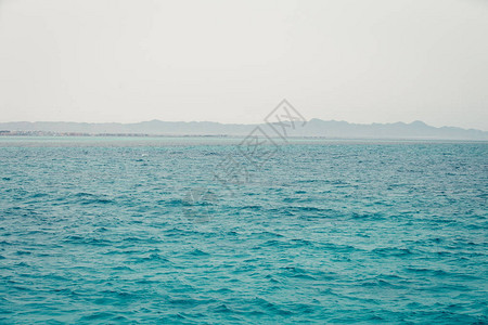 红海蓝色波浪夏天背景图片