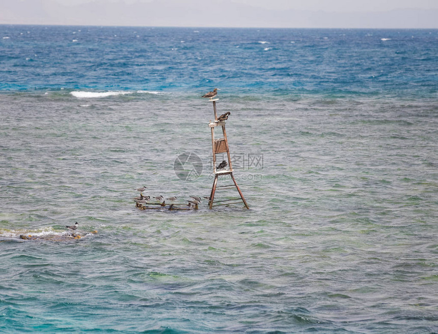 红海蓝色波浪夏天背景图片