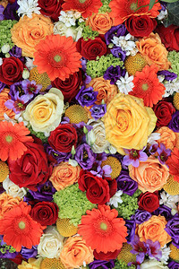 混合花安排各种颜色的花背景图片