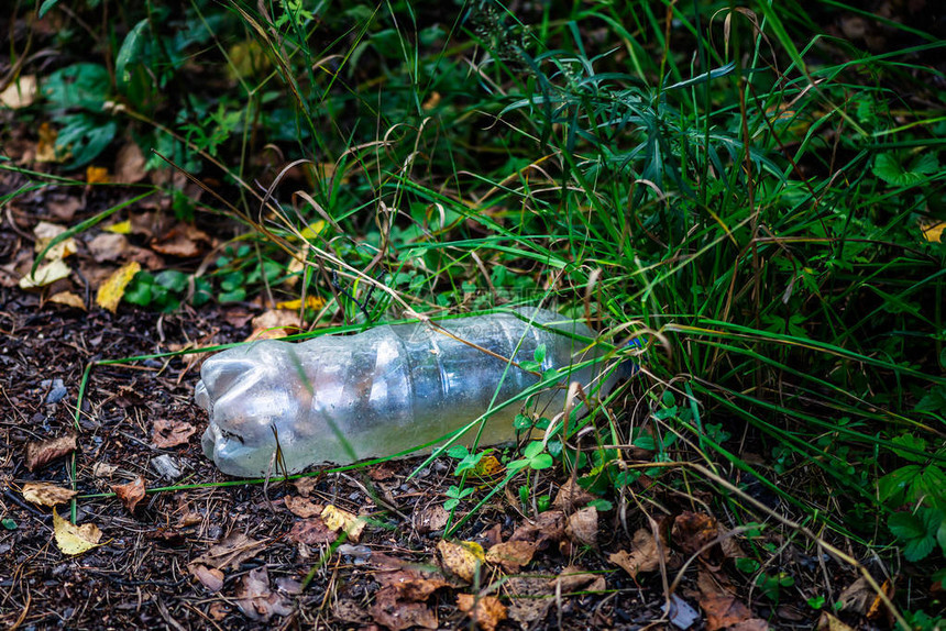 路边森林里的塑料瓶对塑料概念说不人们正在图片