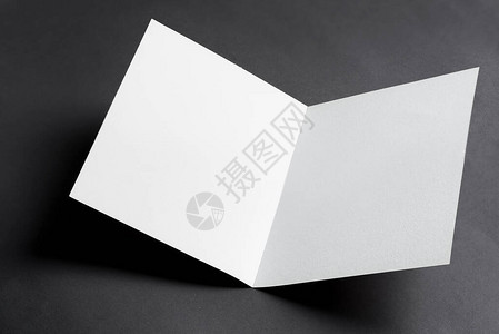 最小折叠双折商务白卡模型图片