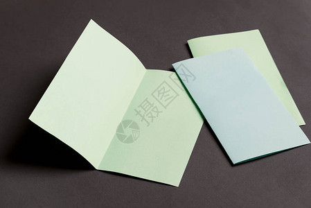 最小双面纸商务绿卡模型图片